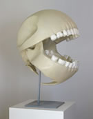 Pacman's Skull